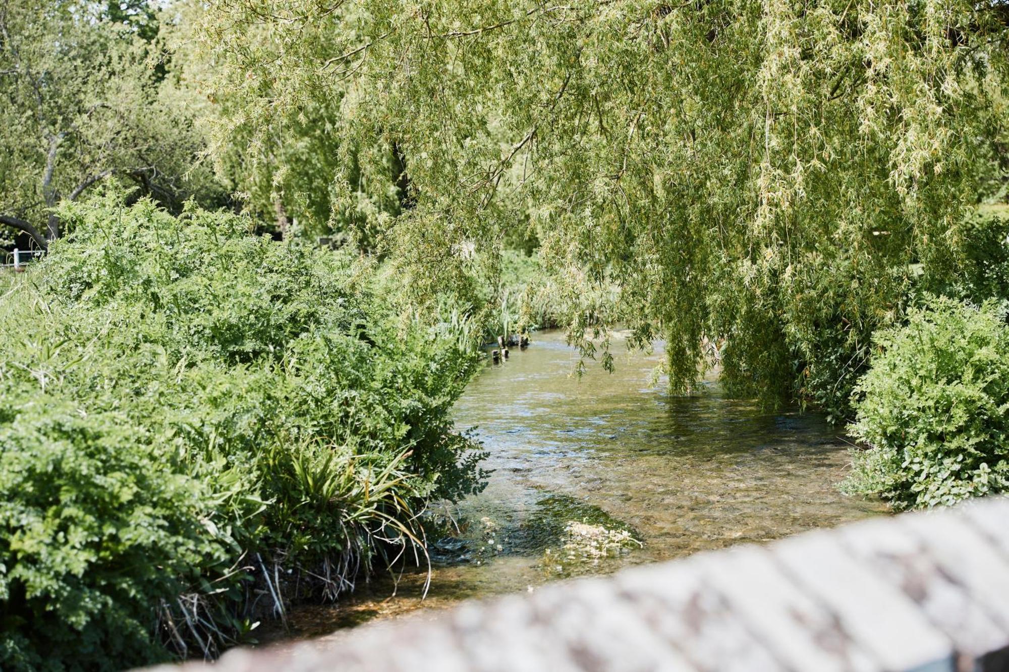 Bed and Breakfast The Bucks Head Carhampton Екстер'єр фото